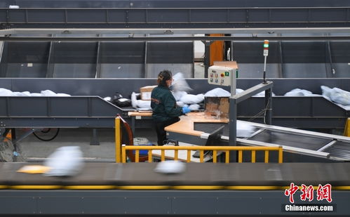 浙江义乌双十一 进出口商品收发两旺，货物贸易繁荣新景象