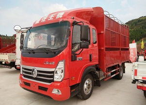 浙江专业零担运输价格解析与进出口货物运输指南